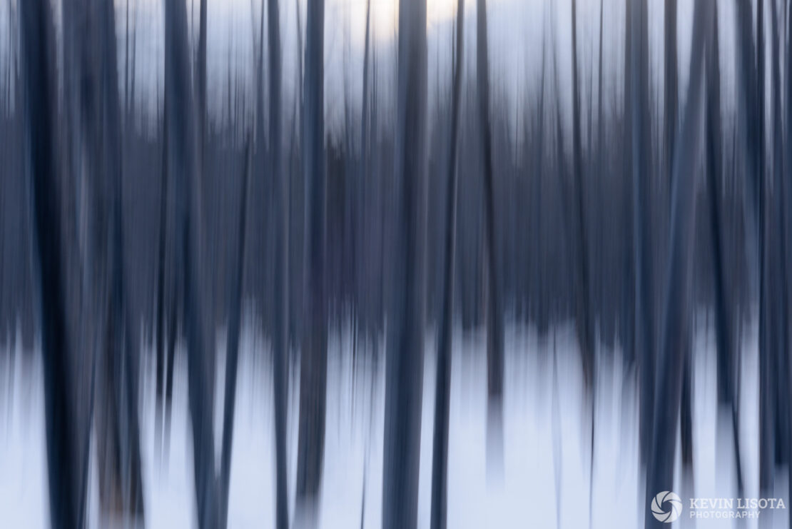 Motion blur of the Bobby Socks Trees of Yellowstone in Winter