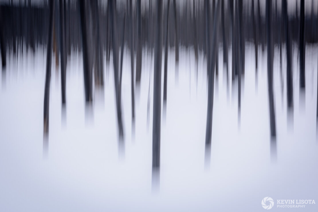 Motion blur of the Bobby Socks Trees of Yellowstone in Winter