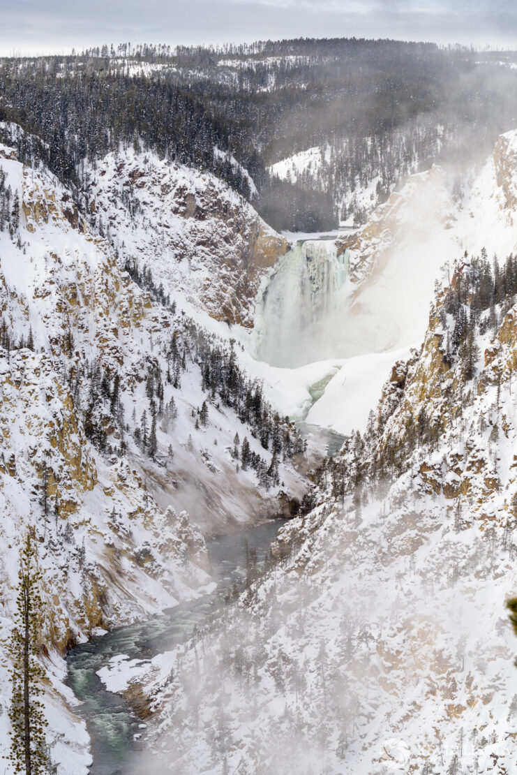 Lower Yellowstone Falls from Artist Point in winter