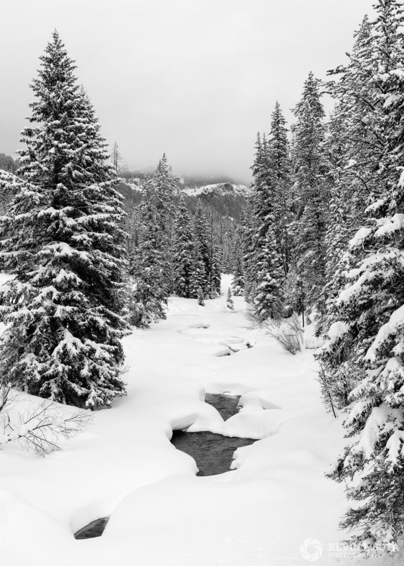 Soda Butte Creek in winter looking towards Barronette Peak