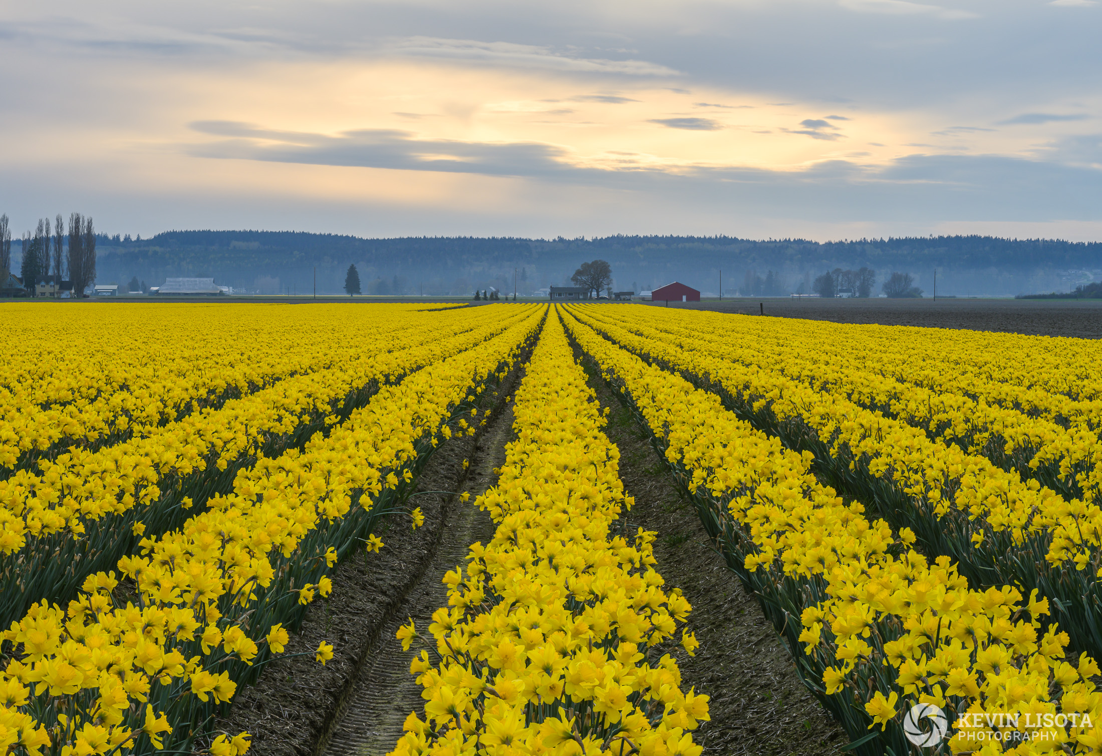 focus stacker for lightroom