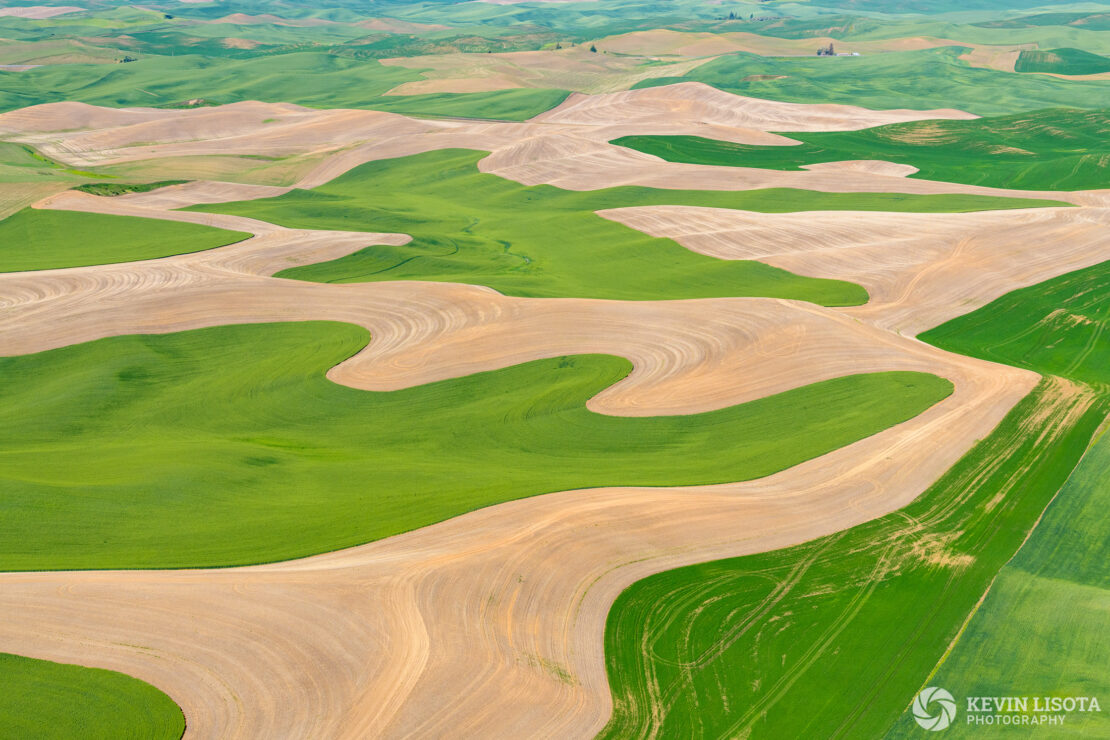 Flowing patterns of wheat fields in the Palouse