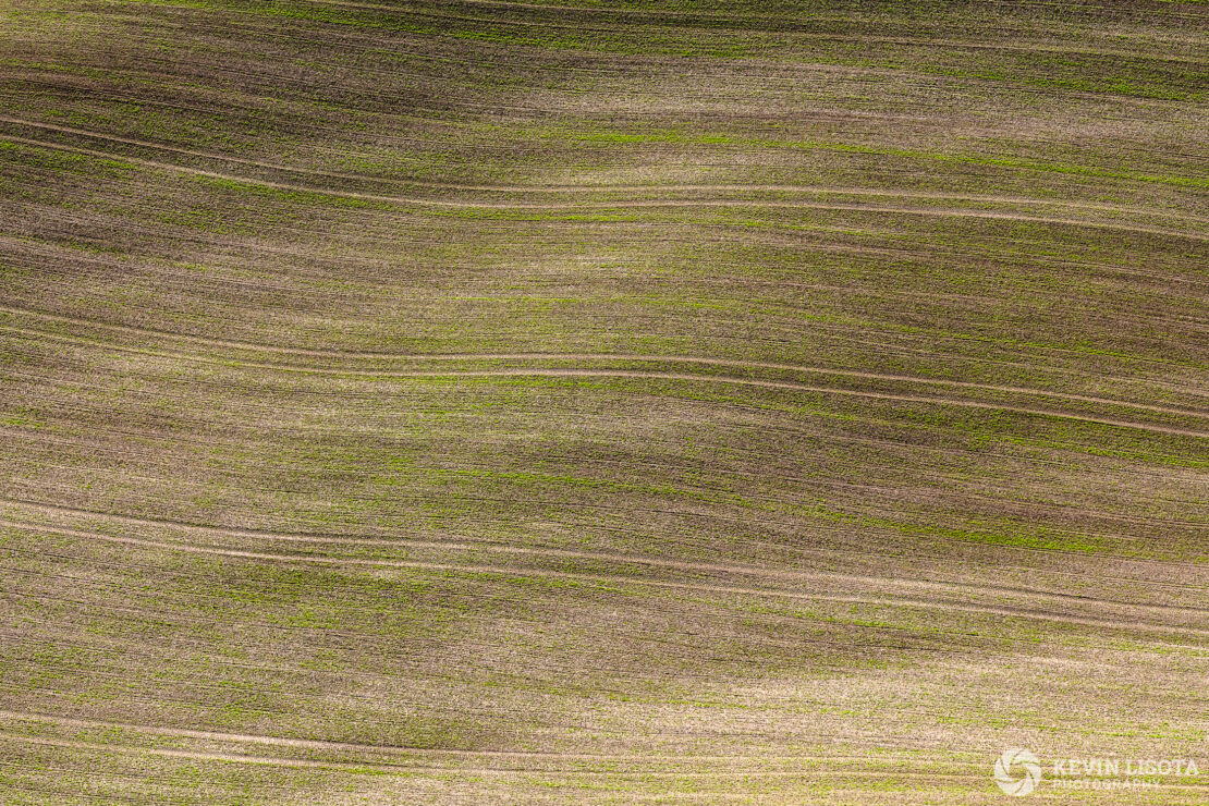 Patterns in the crop fields of the Palouse