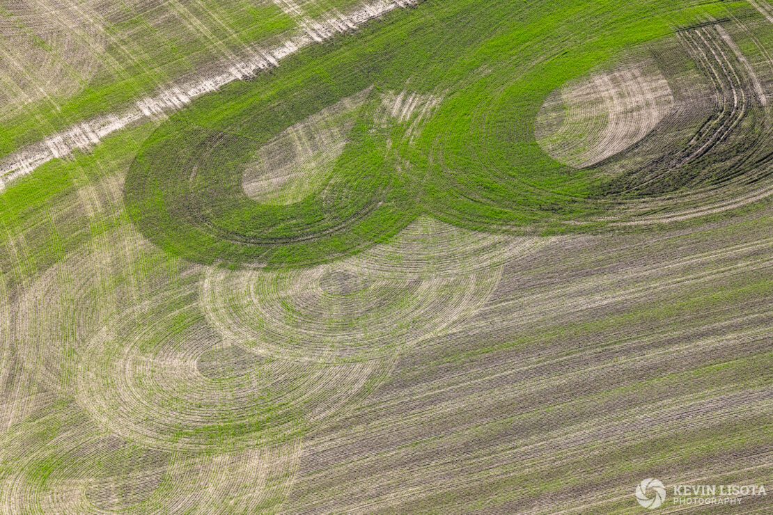 Patterns in the crop fields of the Palouse