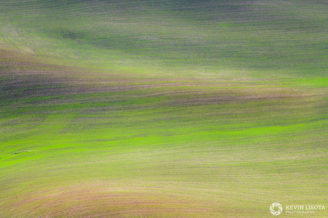 Patterns in the crop fields of the Palouse