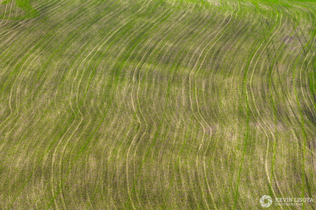 Patterns in the crop fields of the Palouse