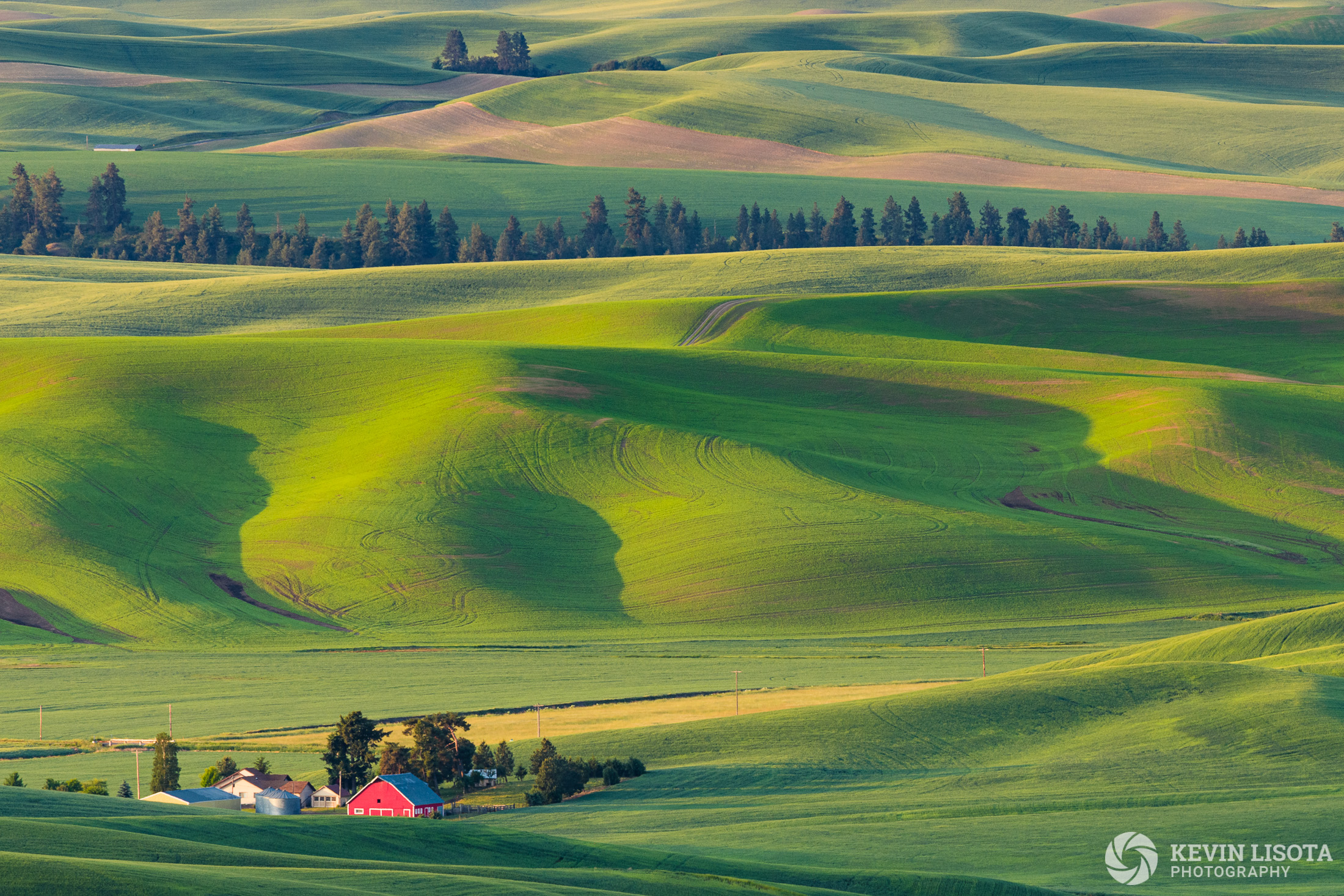 Nature Photography Fields Palouse