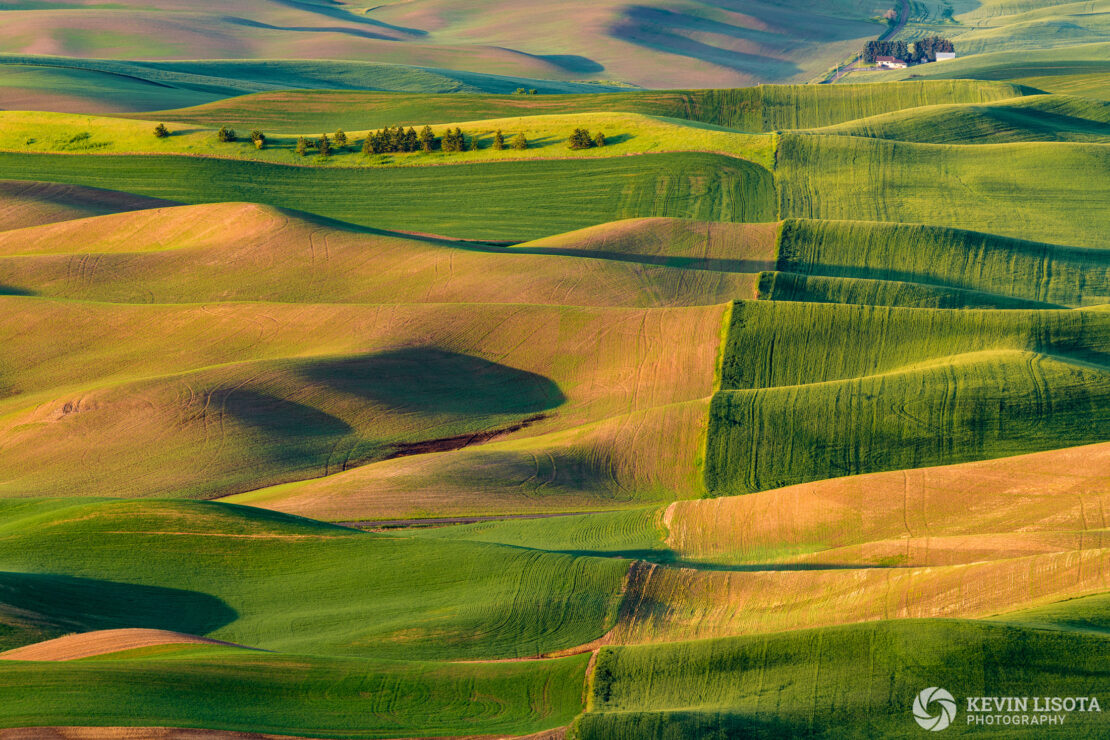 Fields of the Palouse from Steptoe Butte