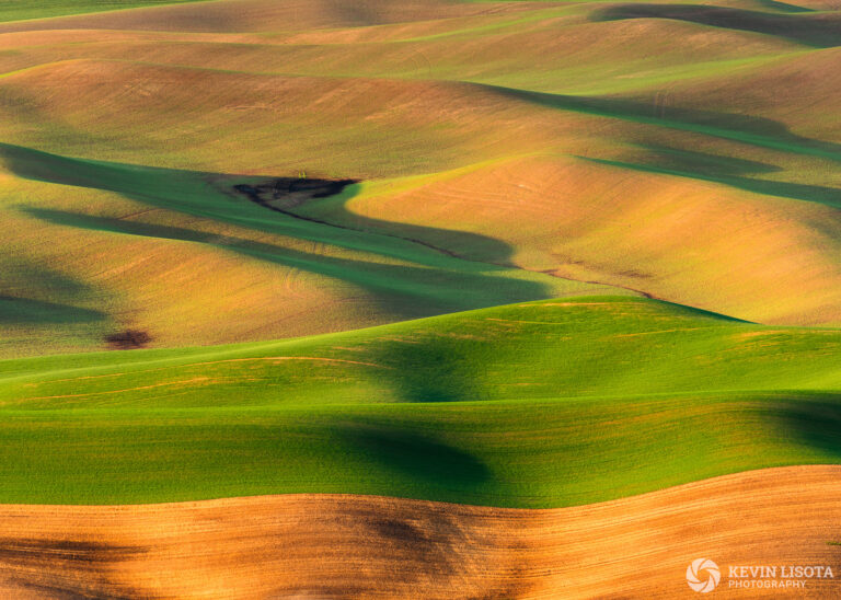 Fields of the Palouse from Steptoe Butte