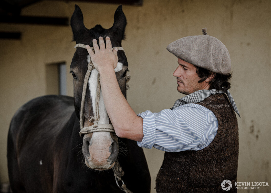 Gaucho and his horse