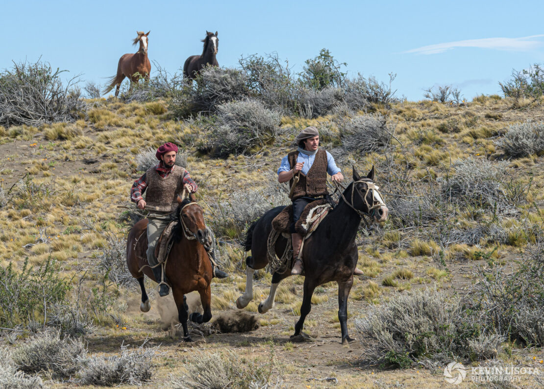 Gauchos gallop on horseback