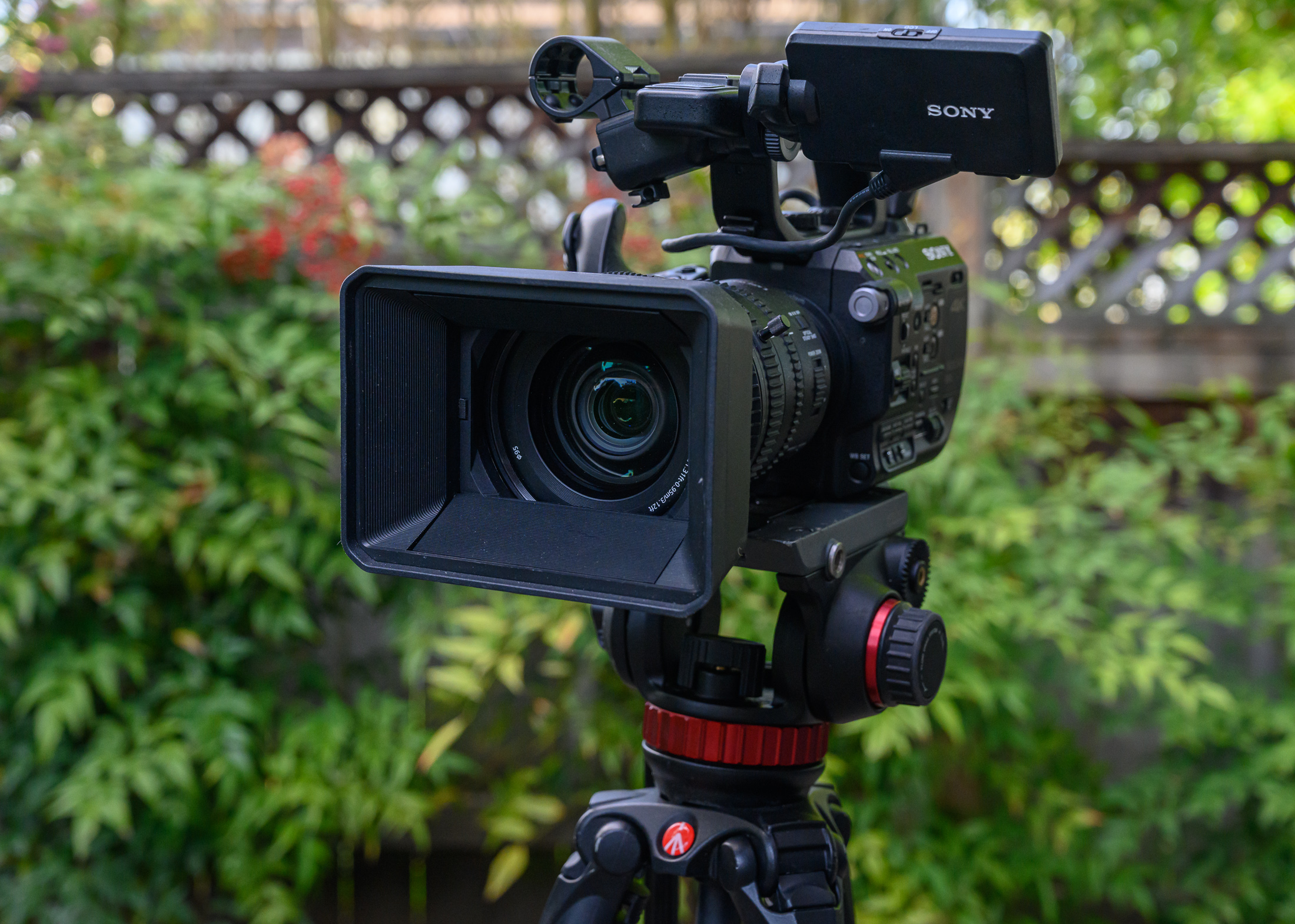 understanding-video-frame-rate-and-shutter-speed-kevin-lisota-photography