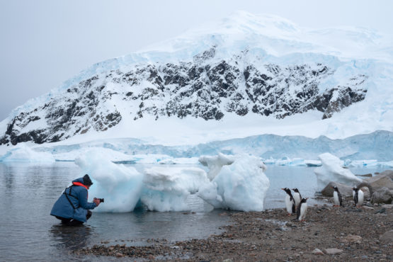 Photographing penguins in Antarctica